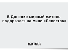 В Донецке мирный житель подорвался на мине «Лепесток»