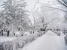 В ближайшие дни в Волгоградской области прогнозируют гололед и мороз до -25