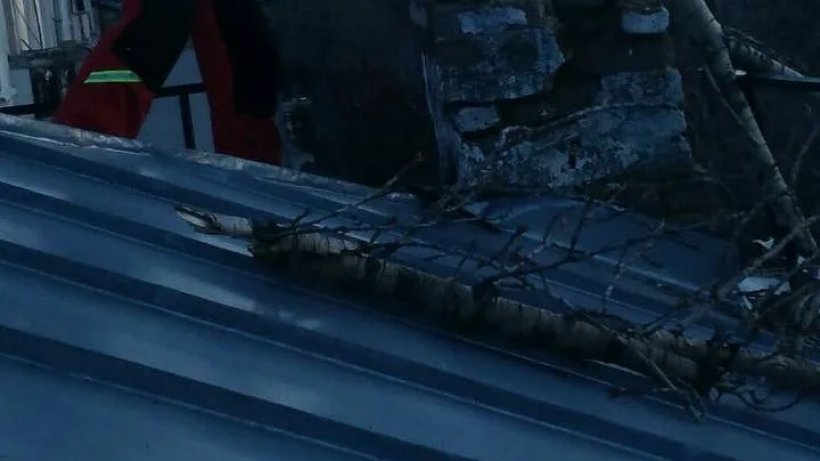 В Саратове упавшее дерево выбило окна в доме, повредило автомобили и газовую трубу