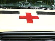 Женщина узнала на УЗИ, что вынашивает девять детей