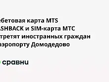 Дебетовая карта MTS CASHBACK и SIM-карта МТС встретят иностранных граждан в аэропорту Домодедово
