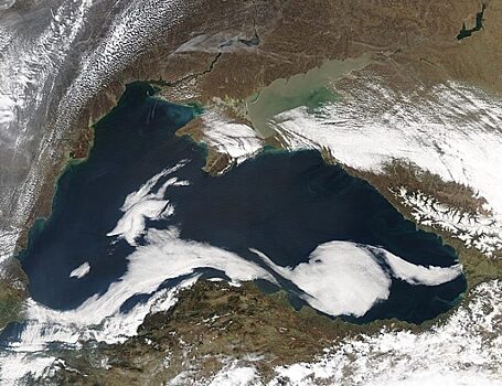 Воды Азовского и Черного морей: чем они отличаются