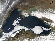 Воды Азовского и Черного морей: чем они отличаются