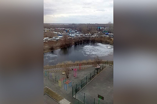 Сгоревшая в Челябинске маршрутка попала на видео