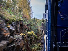 Развитие ОЖД в 2024 году обошлось в 123 млрд рублей