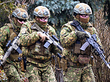 Пока вы спали: "священная война" против Венгрии и партизанские отряды Киева