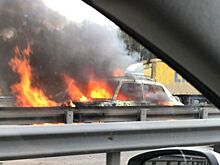 Огненное ДТП с 9 машинами произошло на КАД в Петербурге