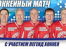 Звёзды хоккея сыграют в Красноярске благотворительный матч
