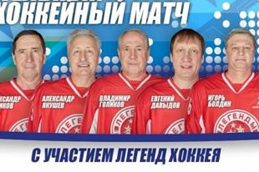 Звёзды хоккея сыграют в Красноярске благотворительный матч