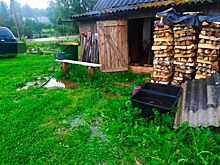 Жители Вырицы бьют тревогу из-за подтопления на участках