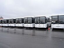 На Лебединском ГОКе появились семь новых автобусов НЕФАЗ