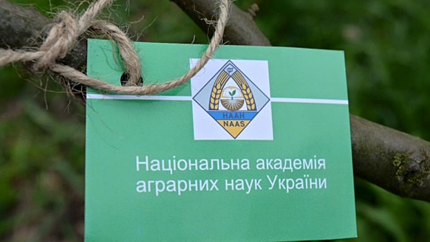 СМИ: Украина приостановила членство всех российских академиков Нацакадемии аграрных наук