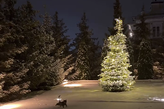 Певица Ольга Серябкина показала новогодний декор загородного дома