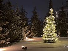 Певица Ольга Серябкина показала новогодний декор загородного дома