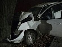 В Александрове автомобиль на полной скорости влетел в дерево