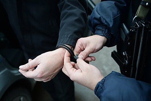 В Москве суд арестовал пятерых молодых людей за стриптиз в вагоне метро