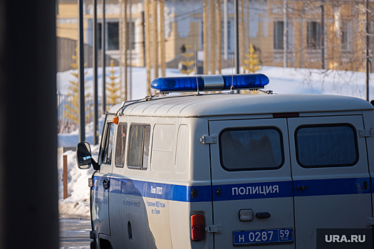 Североуральские полицейские жестко задержали дебошира