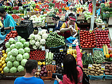 Пятая часть россиян работает неизвестно где