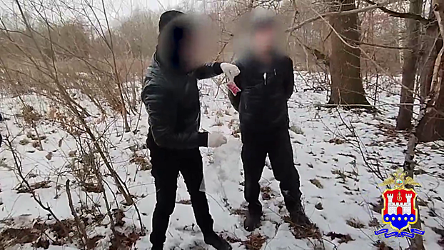 В Калининграде инспекторы поймали водителя, который во время побега швырнул свёрток с «синтетикой» в снег