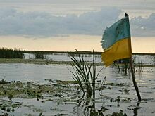 Армия Судана ликвидировала украинских наемников, воевавших за мятежников