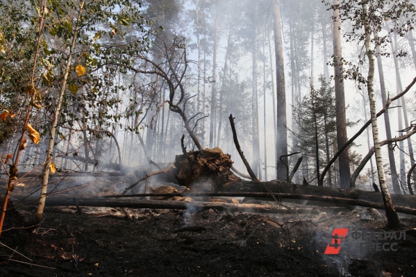 За выходные 21 лесной пожар потушили в Иркутской области