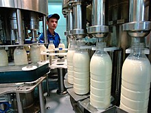 Власти Удмуртии намерены привлечь к развитию регионального рынка молока Danone и PepsiCo