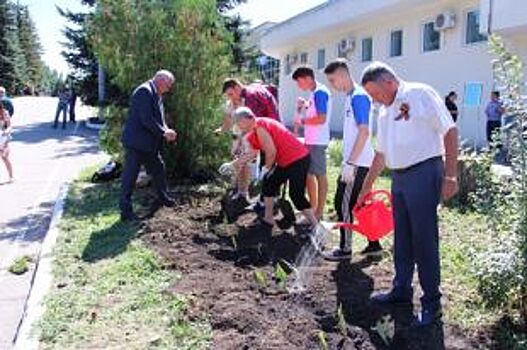 В Парке Победы высадили ирисы, выведенные саратовской летчицей