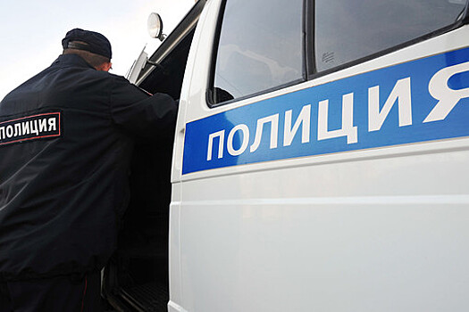 РИА Новости: досмотр пассажиров на Павелецком вокзале проходит штатно