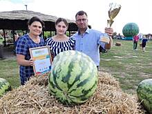 Житель Соль-Илецка вырастил 67-килограммовый арбуз