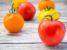 Иран готов поставлять в Россию апельсины, киви и томаты