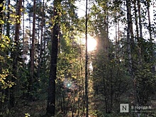 19 палаточных эколагерей для детей откроют в Нижегородской области
