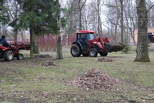 В Петербурге 210 тысяч человек вышли на городской субботник