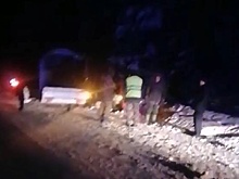 Подросток пострадал в ДТП из-за лося в Чкаловском округе