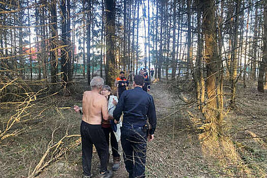 В Подмосковье пропавшего три дня назад пенсионера нашли раздетым в лесу
