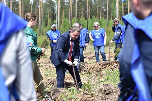 ЧМК и экологи восстанавливают леса вокруг Челябинска