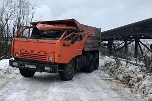 В Коряжме водитель КАМАЗа чуть не погиб из-за лисы