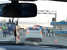 Глава Вологодской области отменил автобусное сообщение с Череповцом
