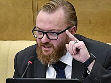 Милонов заподозрил отклонения у нежелающих иметь детей пар