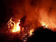 В Киеве назвали возможную причину масштабного пожара