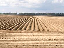 «Ростелеком» рассказал об опыте внедрения искусственного интеллекта в сельском хозяйстве