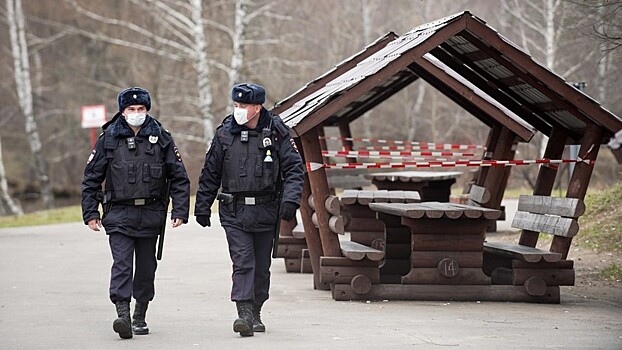 Распространение фейков о коронавирусе может повлечь до пяти лет тюрьмы