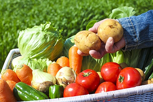 Минсельхоз не получал предложений ограничить импорт овощей