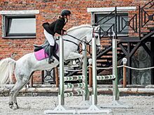 Спортсмены из Удмуртии заняли призовые места на конных соревнованиях в Перми