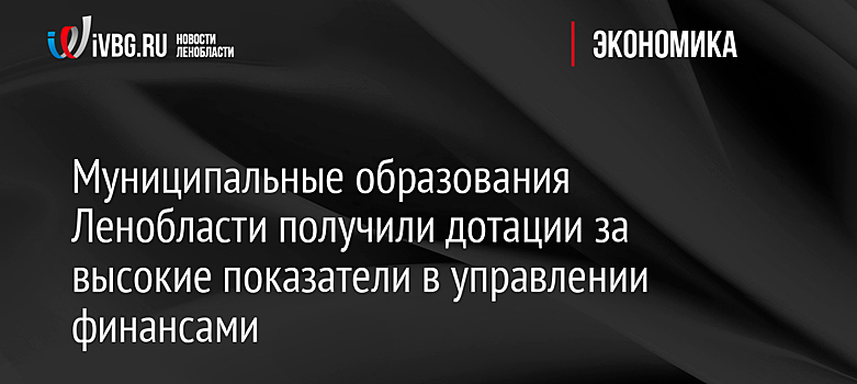 Муниципальные образования Ленобласти получили дотации за высокие показатели в управлении финансами