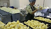 На Кубани построят завод по переработке фруктов
