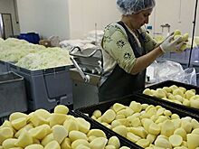 На Кубани построят завод по переработке фруктов