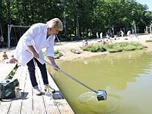 На 16 пляжах Нижнего Новгорода проверили качество воды и песка