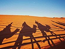 От пустыни к процветанию: как Оман нашел свой путь