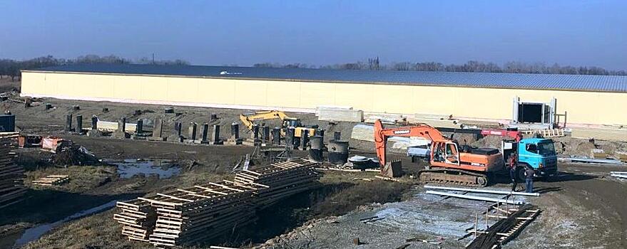 Ферму по разведению угрей в Хабаровском крае проверят голландцы