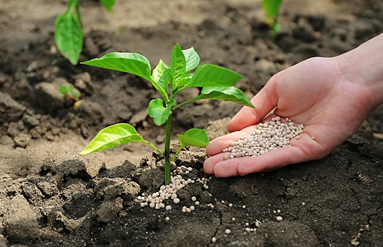 Россия снизила поставки удобрений в Европу